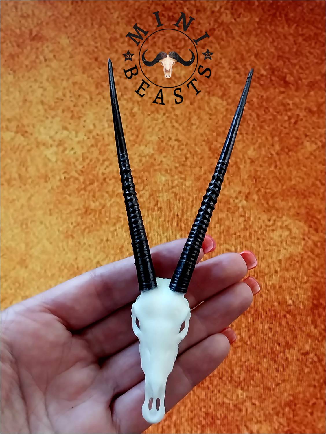 WhatsApp Image 2023-11-07 at 22.17.57 (1)