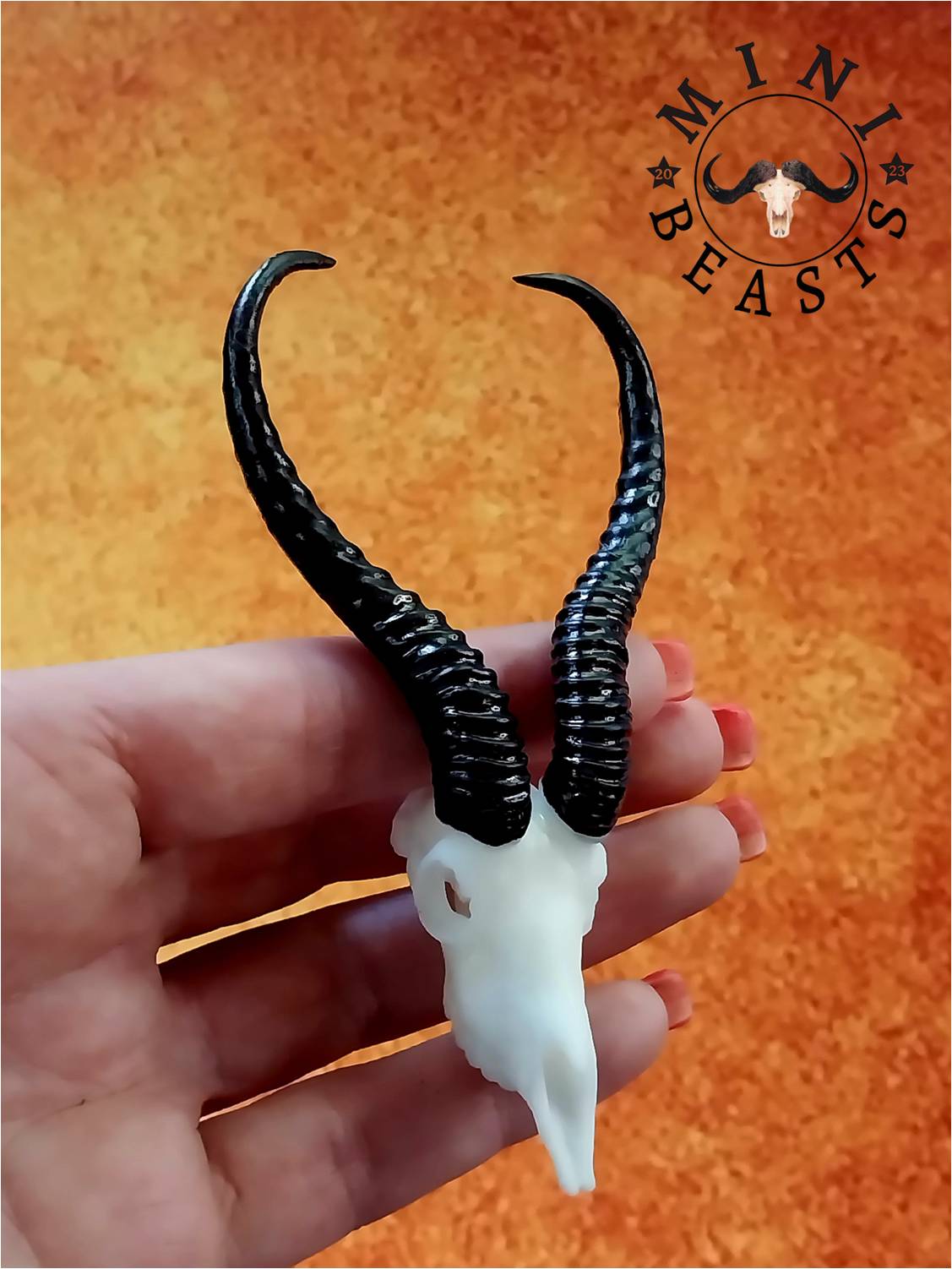 WhatsApp Image 2023-11-07 at 22.17.57