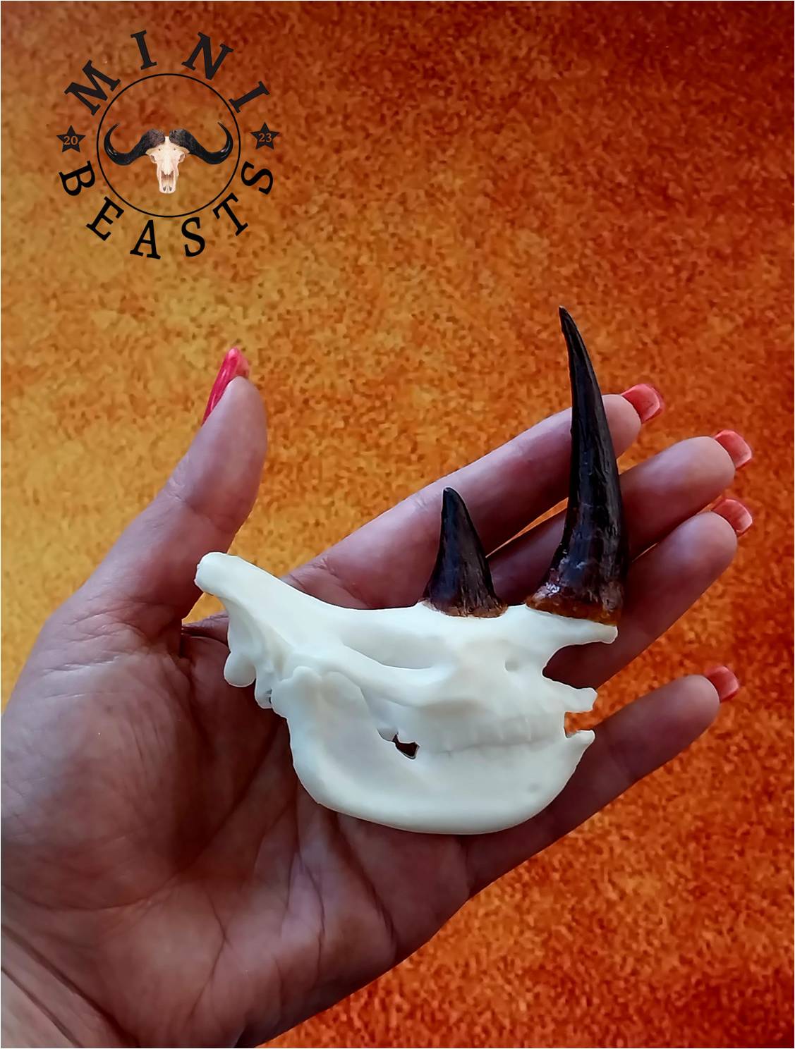 WhatsApp Image 2023-11-07 at 22.17.59 (1)